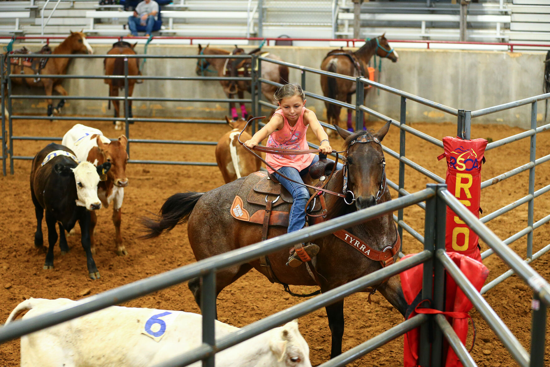 Ranch Sorting of America